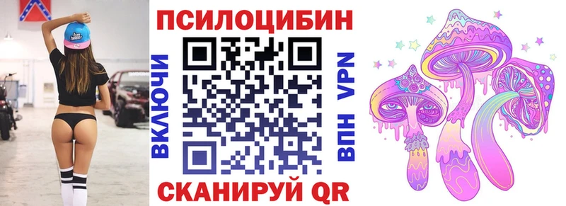 Псилоцибиновые грибы GOLDEN TEACHER Купить закладки Велиж